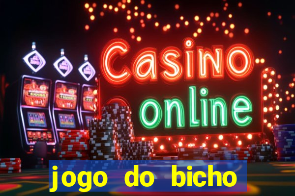 jogo do bicho crash bingo